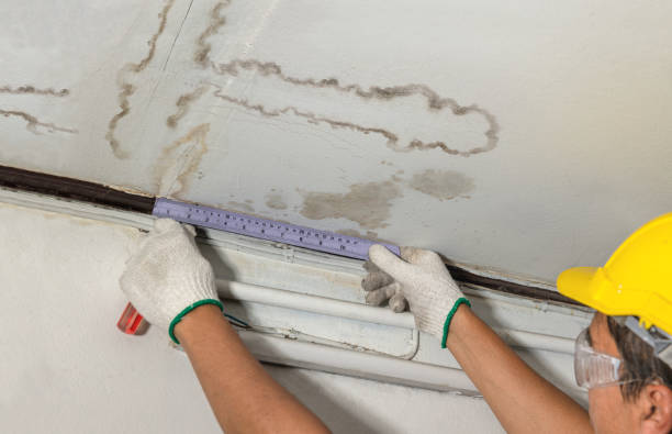 Reliable Mold Remediation contractor in Springdale, WA by Water Damage Irwin